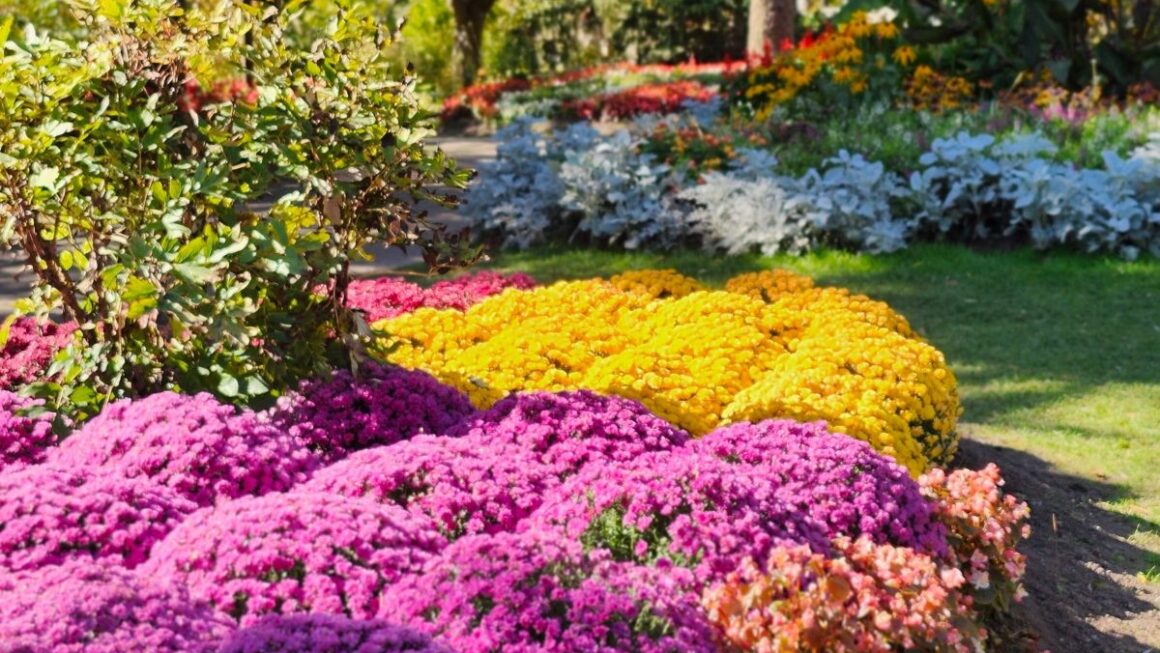 Gardening Tips for the Warmer Months