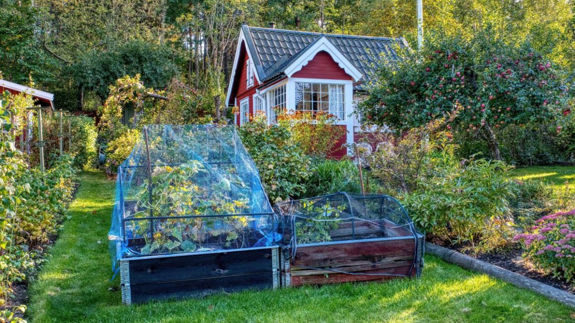 10 Things to Do in Your Garden Before Fall